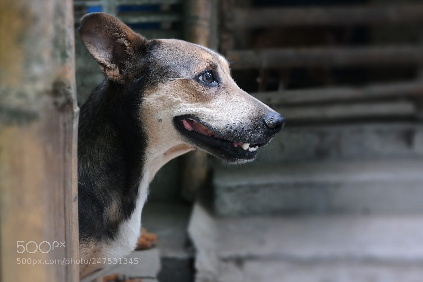 Samsung NX2000 sample photo. Waiting for you photography