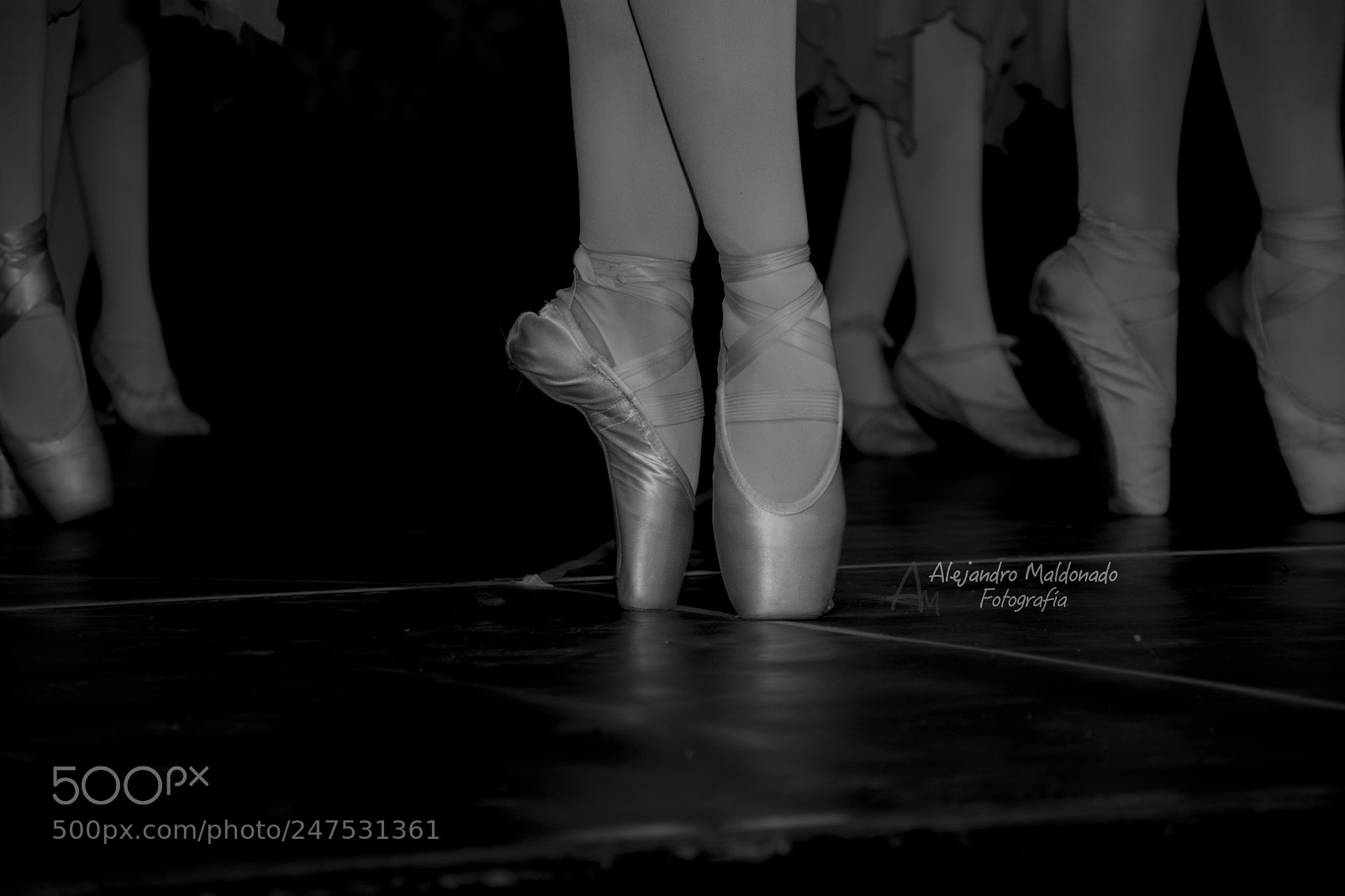 Nikon D7100 sample photo. En puntas photography