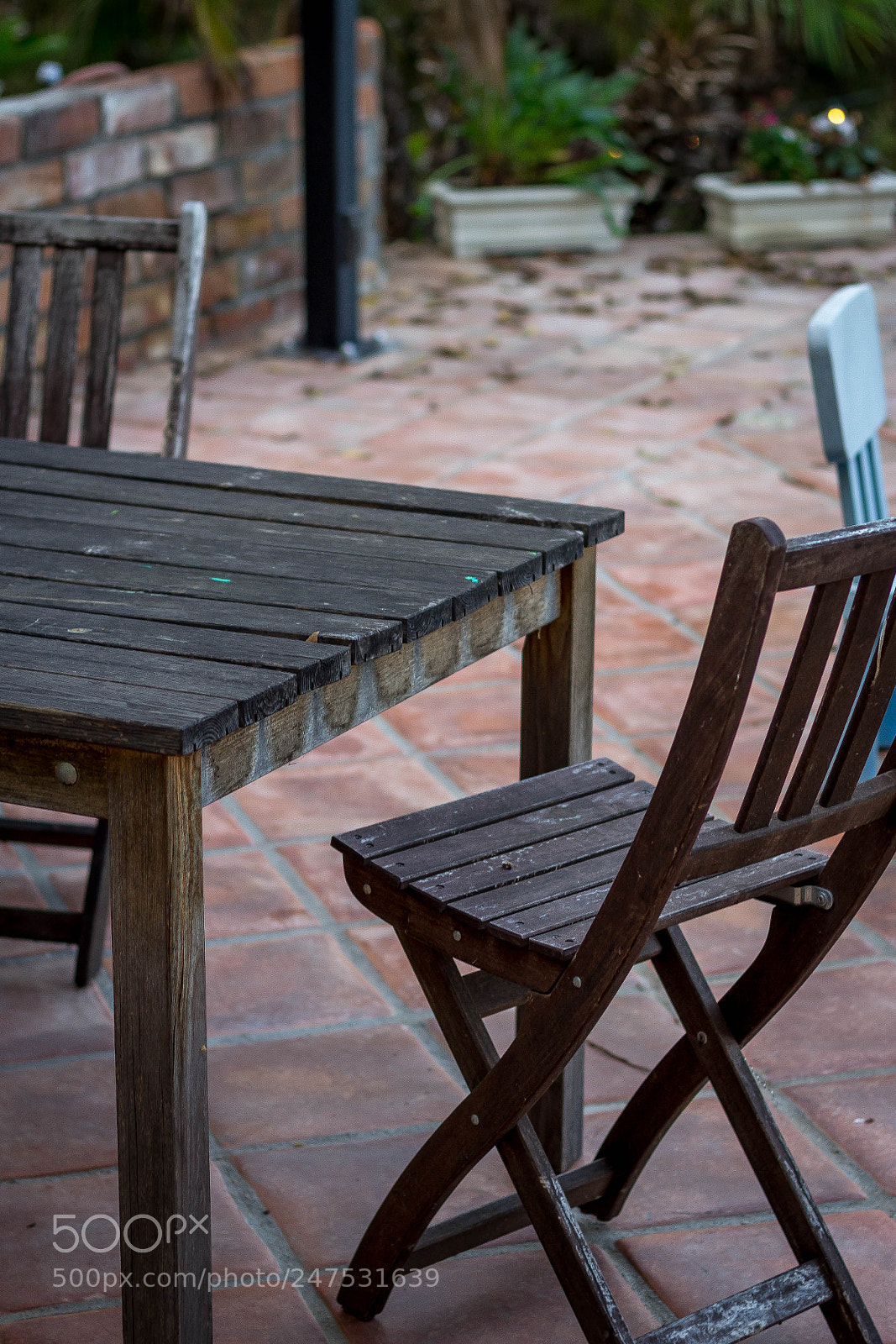 Canon EOS 1200D (EOS Rebel T5 / EOS Kiss X70 / EOS Hi) sample photo. Driftwood photography