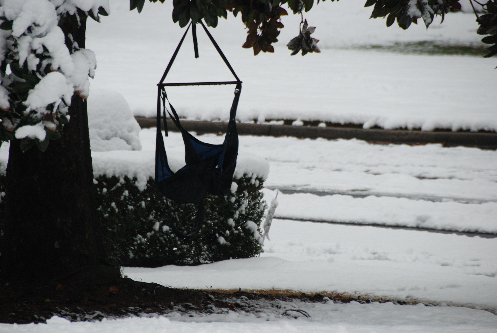 Nikon D80 sample photo. Winter photography