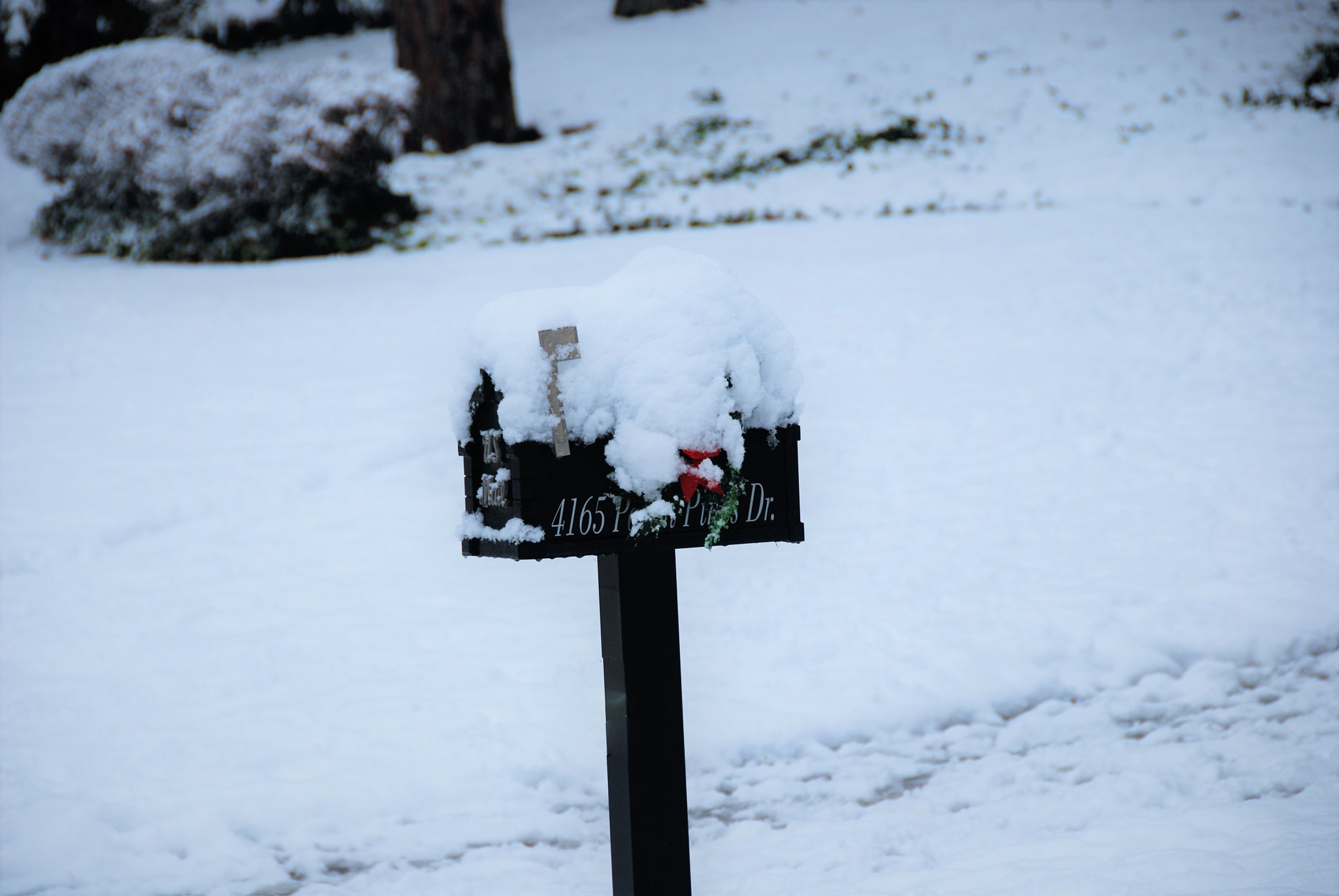 Nikon D80 sample photo. Winter photography
