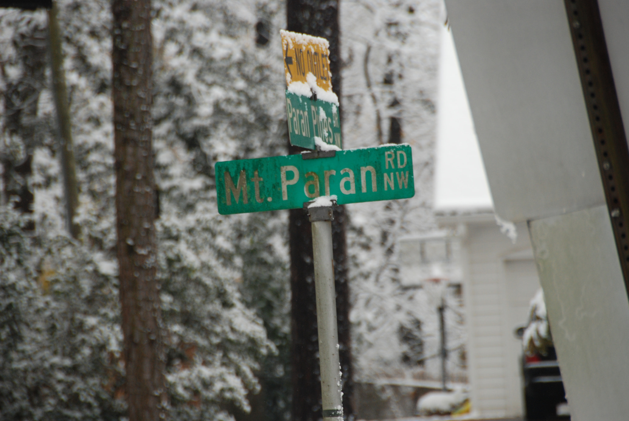 Nikon D80 sample photo. Winter photography