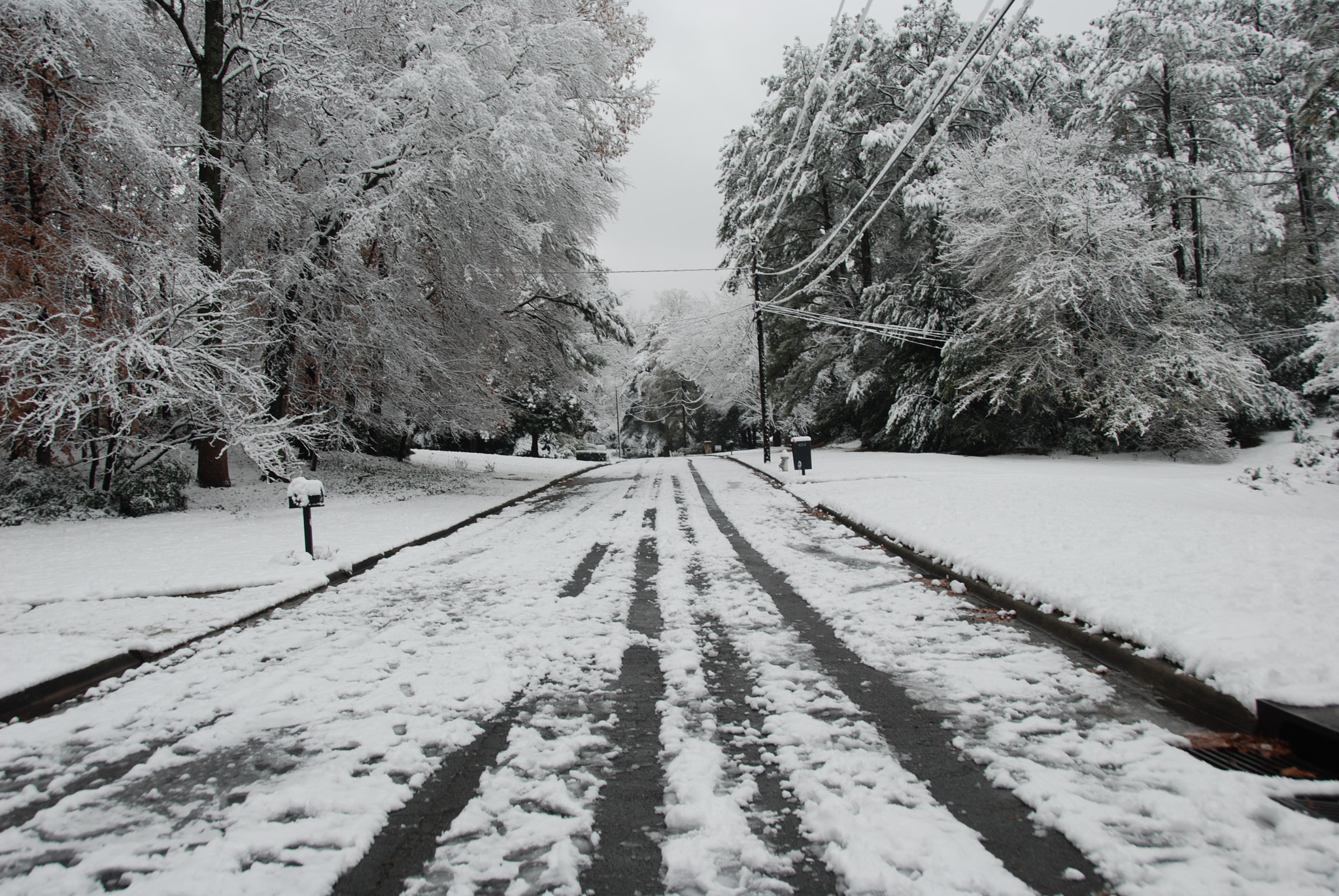 Nikon D80 sample photo. Winter photography