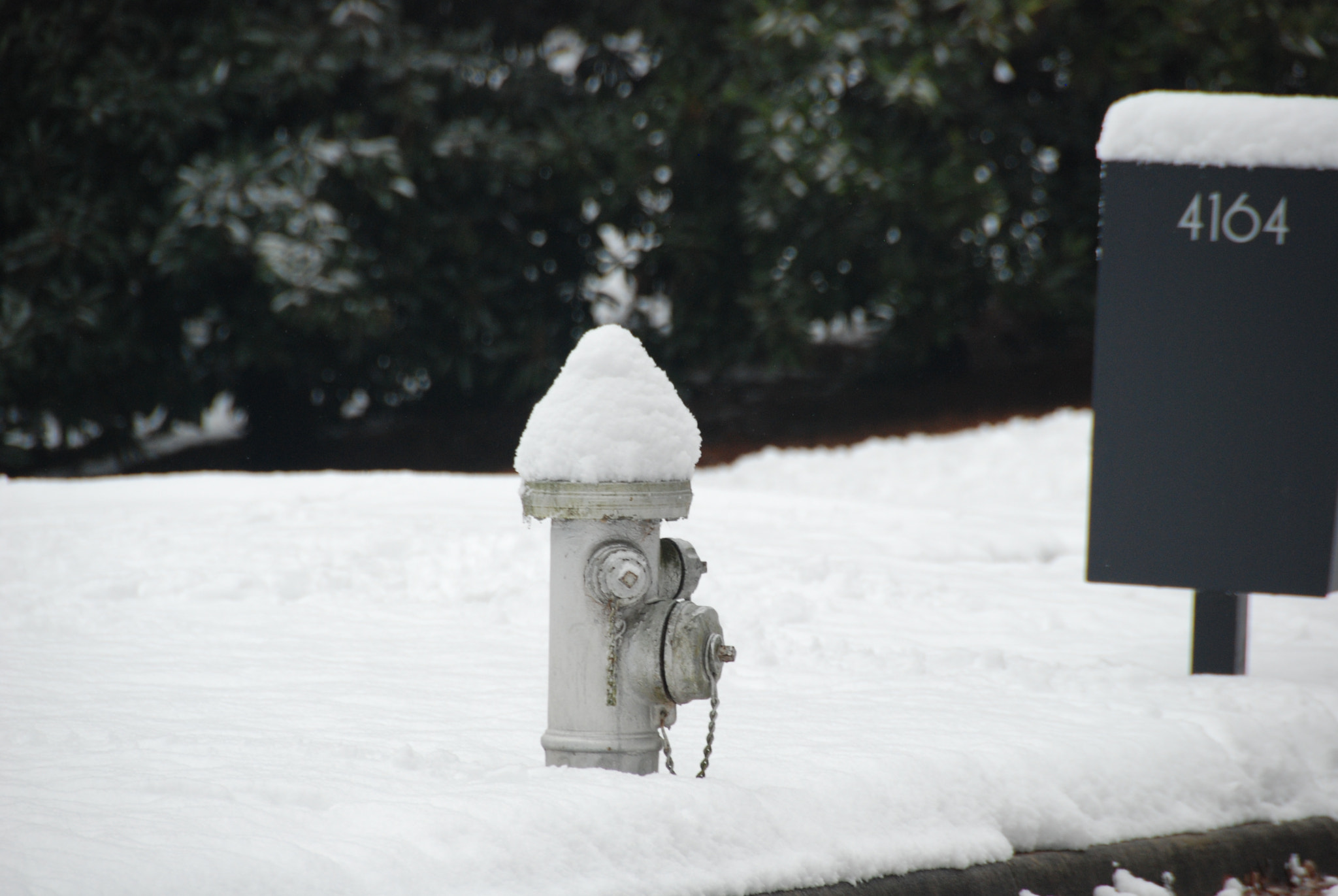 Nikon D80 sample photo. Winter photography
