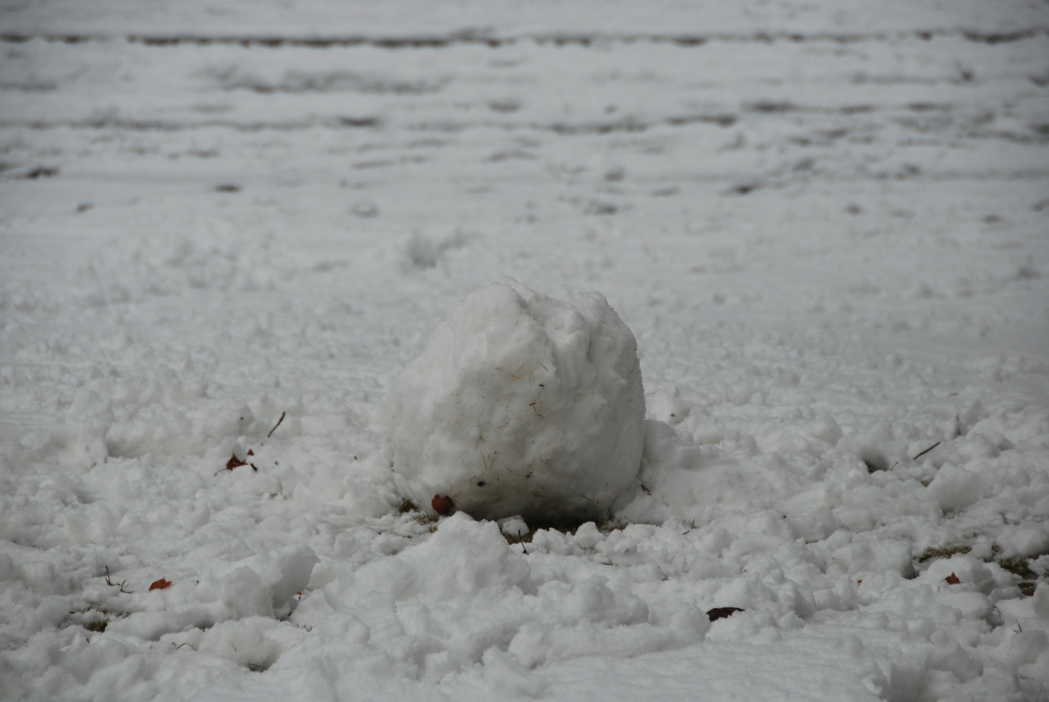 Nikon D80 sample photo. Winter photography