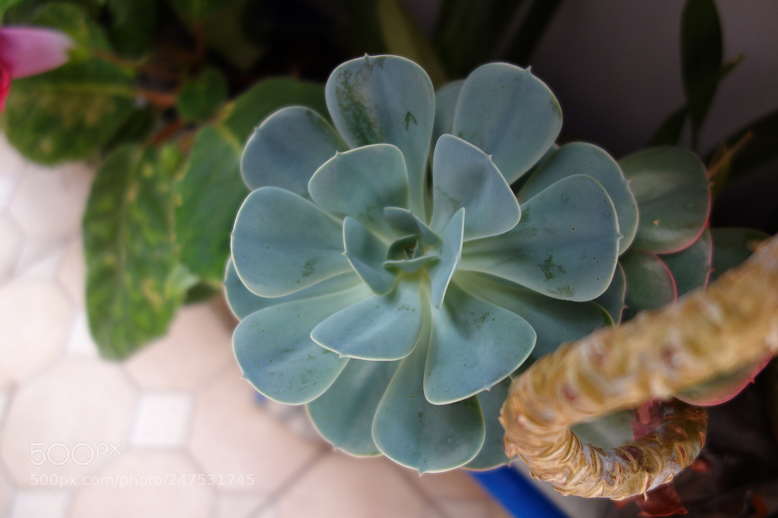 Sony Cyber-shot DSC-RX100 sample photo. Untitled photography