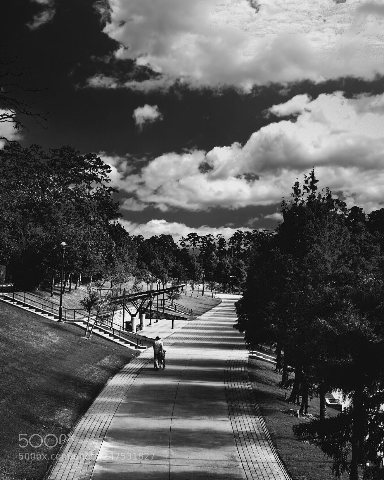 Nikon D3400 sample photo. He's a genius, he photography