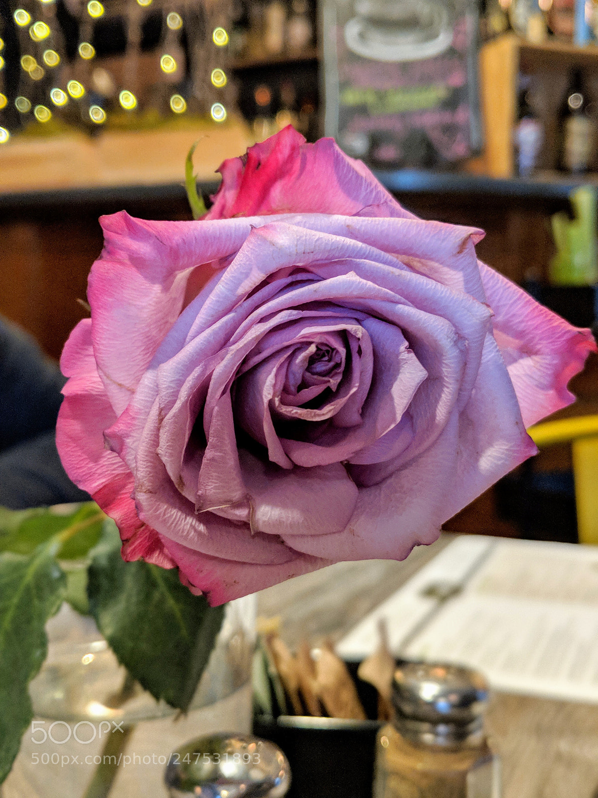 Google Pixel 2 XL sample photo. Flower photography