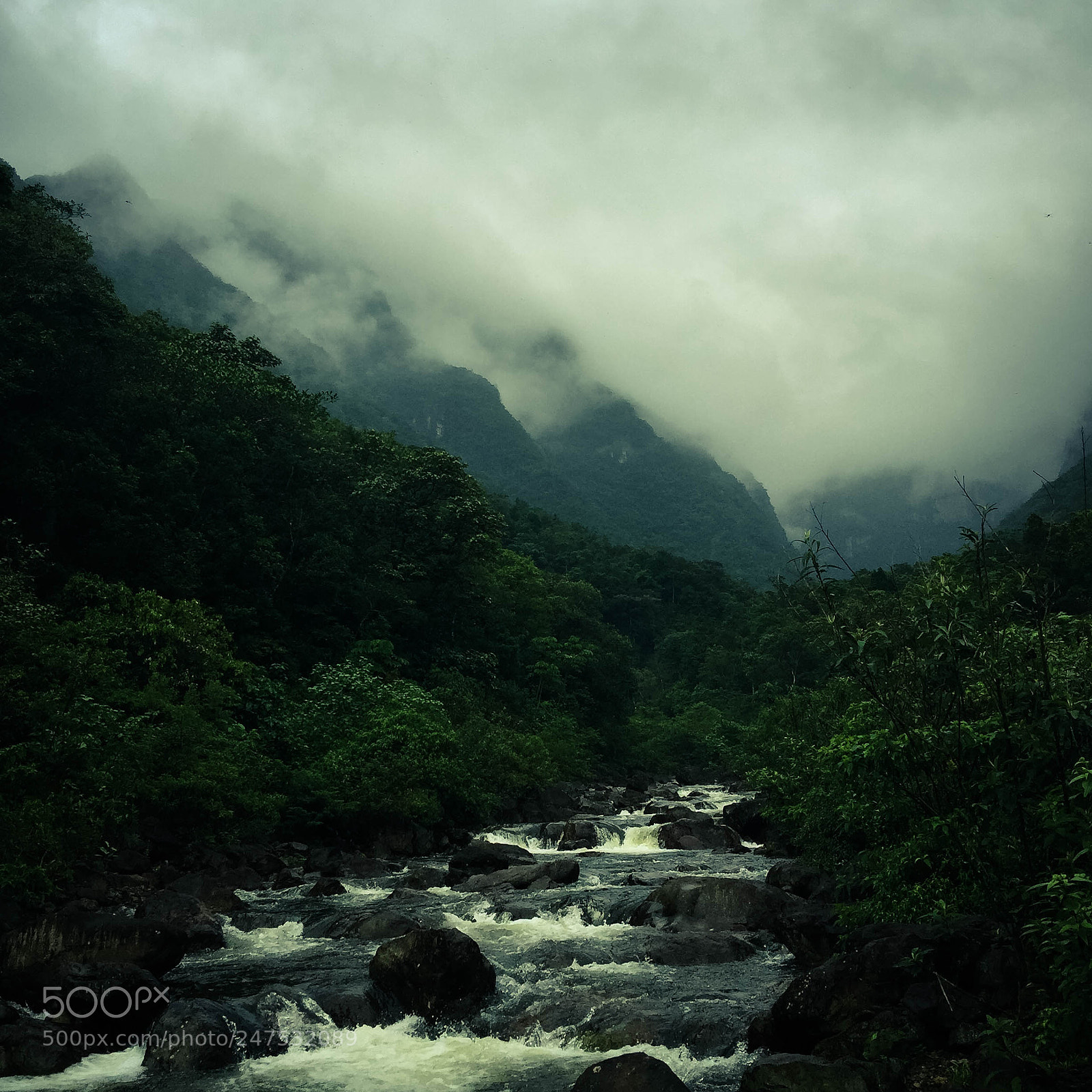 Apple iPhone 6 Plus sample photo. Santa catarina, trilha,malacara photography