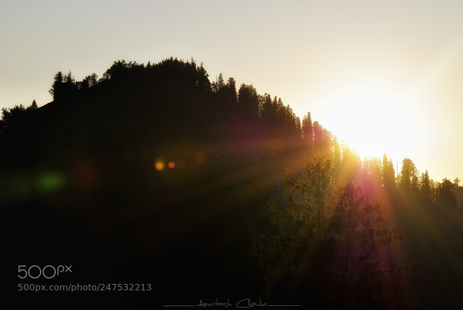 Nikon D3000 sample photo. The flare magic photography