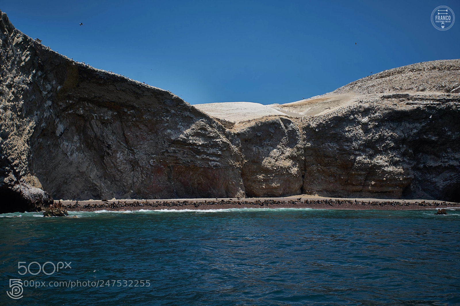 Sony a7R II sample photo. Maternidad de lobos marinos photography