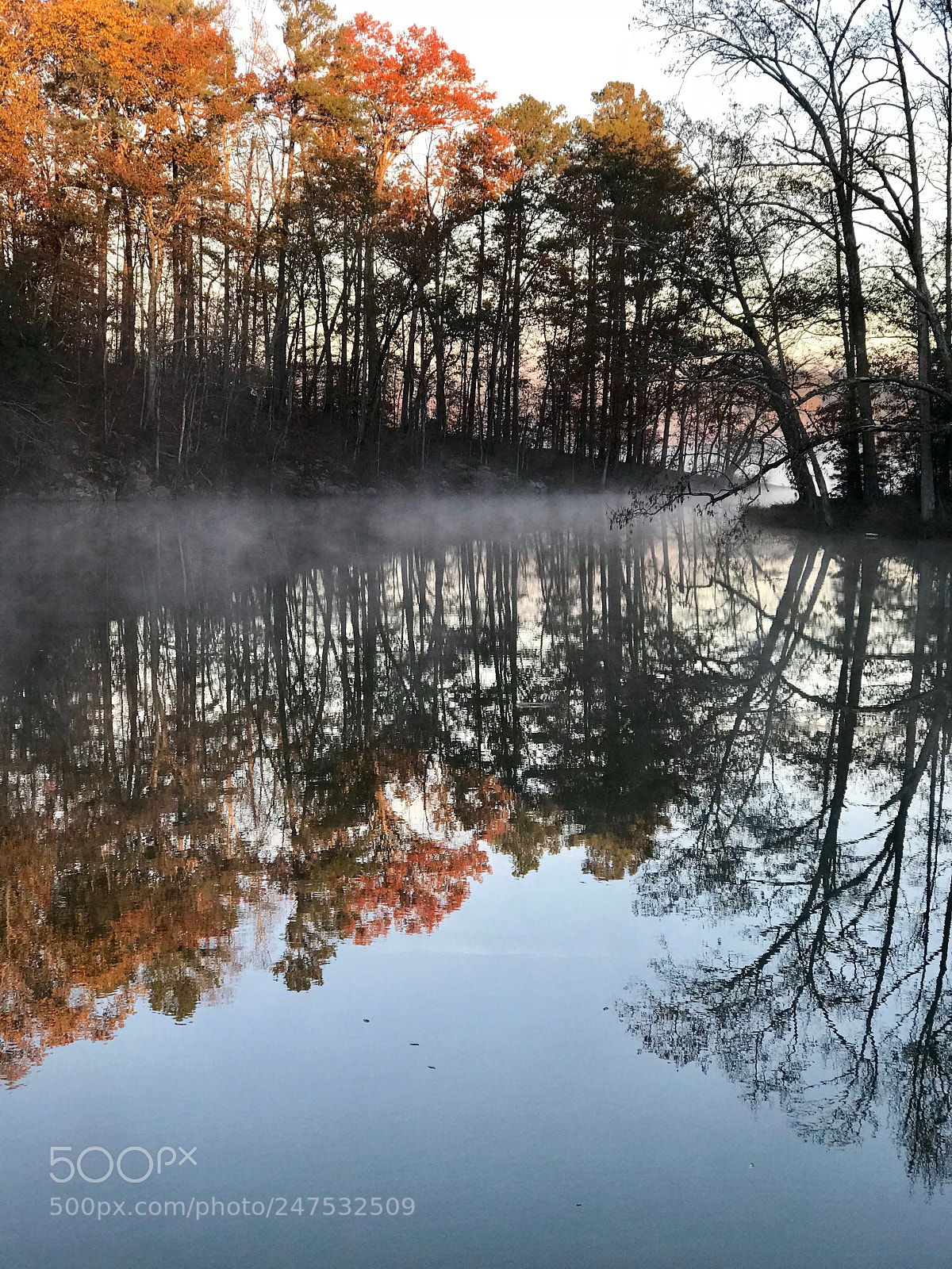 Apple iPhone 7 Plus sample photo. Lake purdy photography