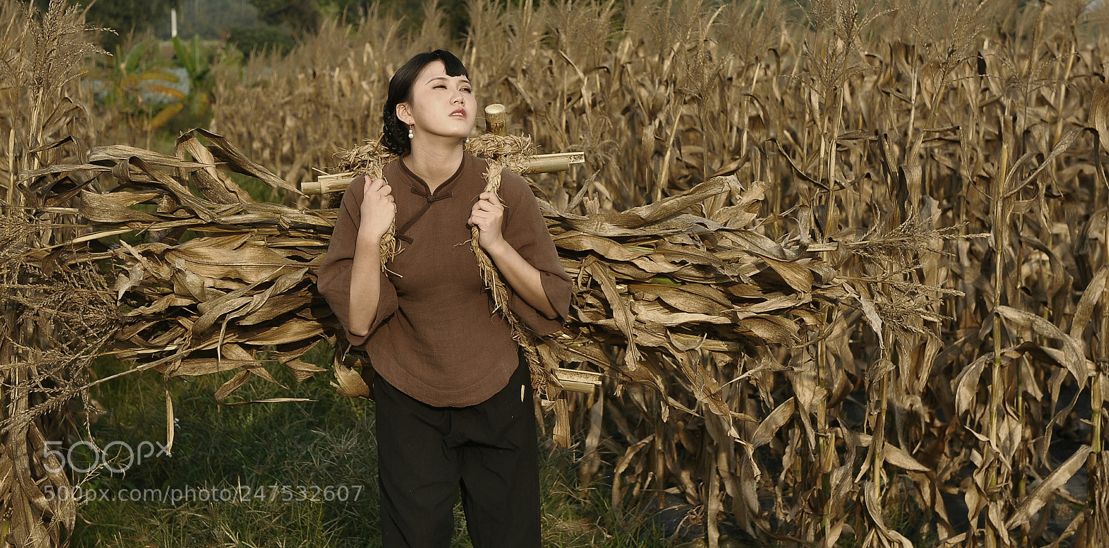 Nikon D700 sample photo. 大山的女人 photography