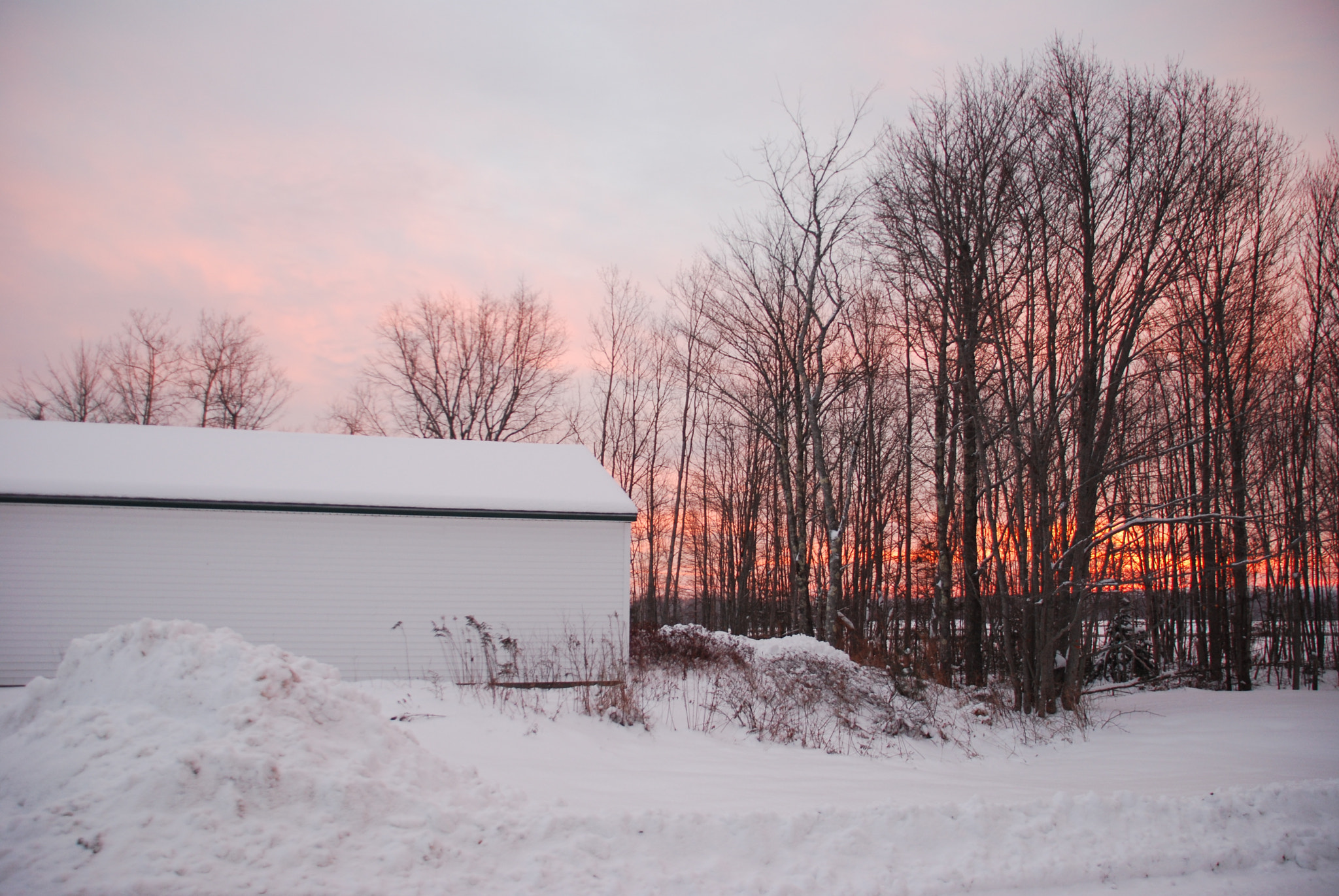 Nikon D60 + Sigma 18-200mm F3.5-6.3 DC OS HSM sample photo. Winter sunrise- pale pink photography