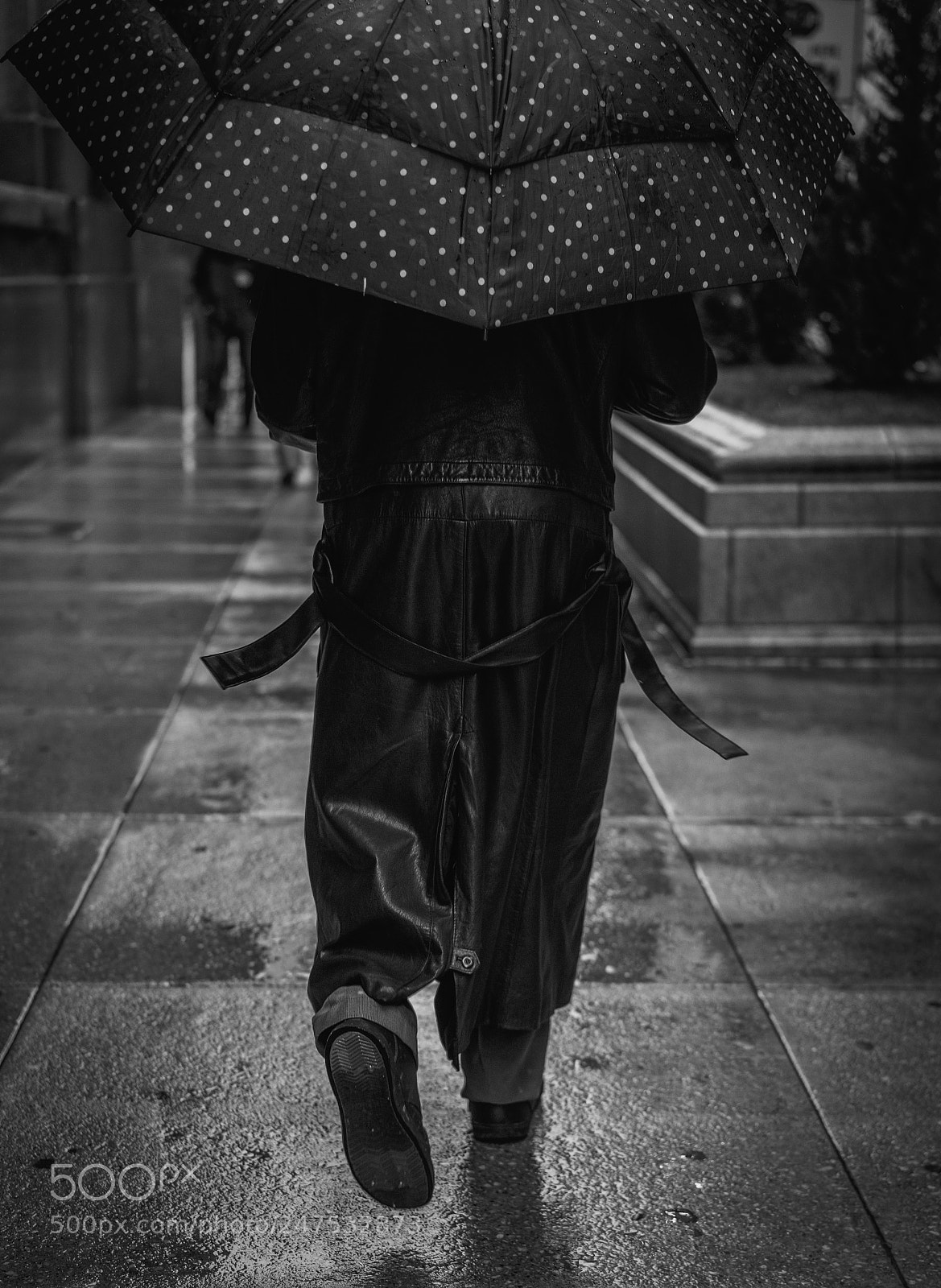 Sony a7 II sample photo. 2-20-2018 photography