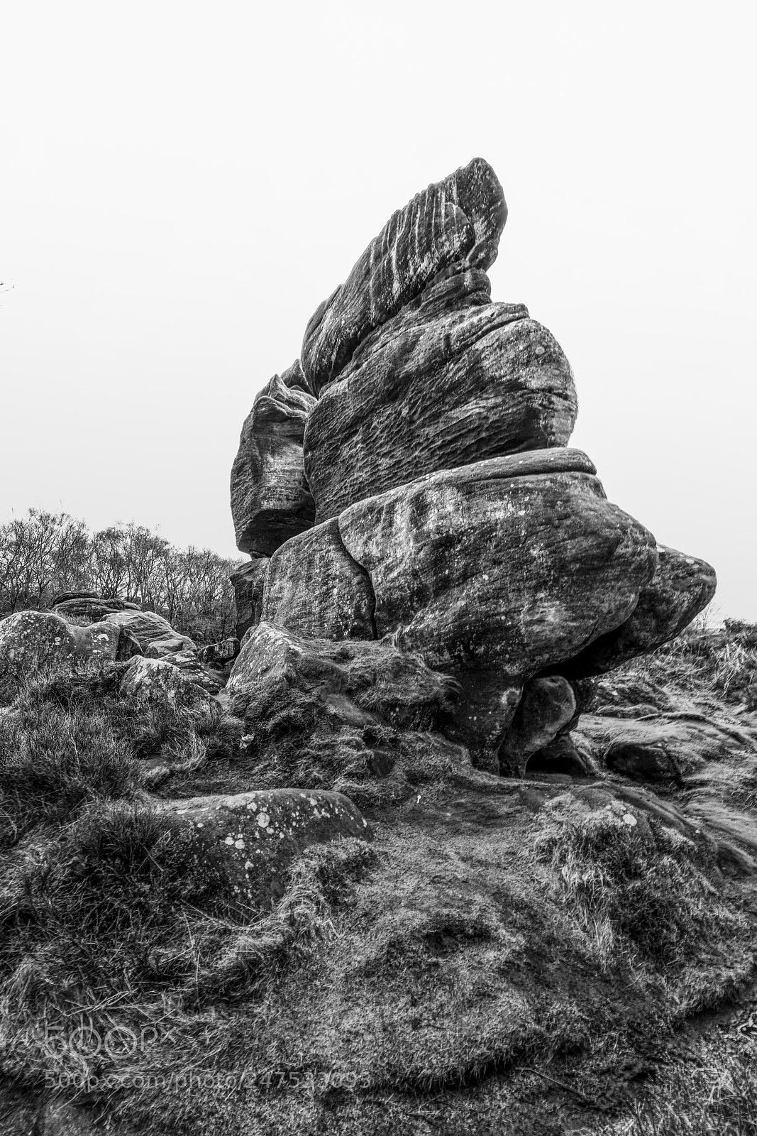 Sony a7R II sample photo. Oh my ! photography