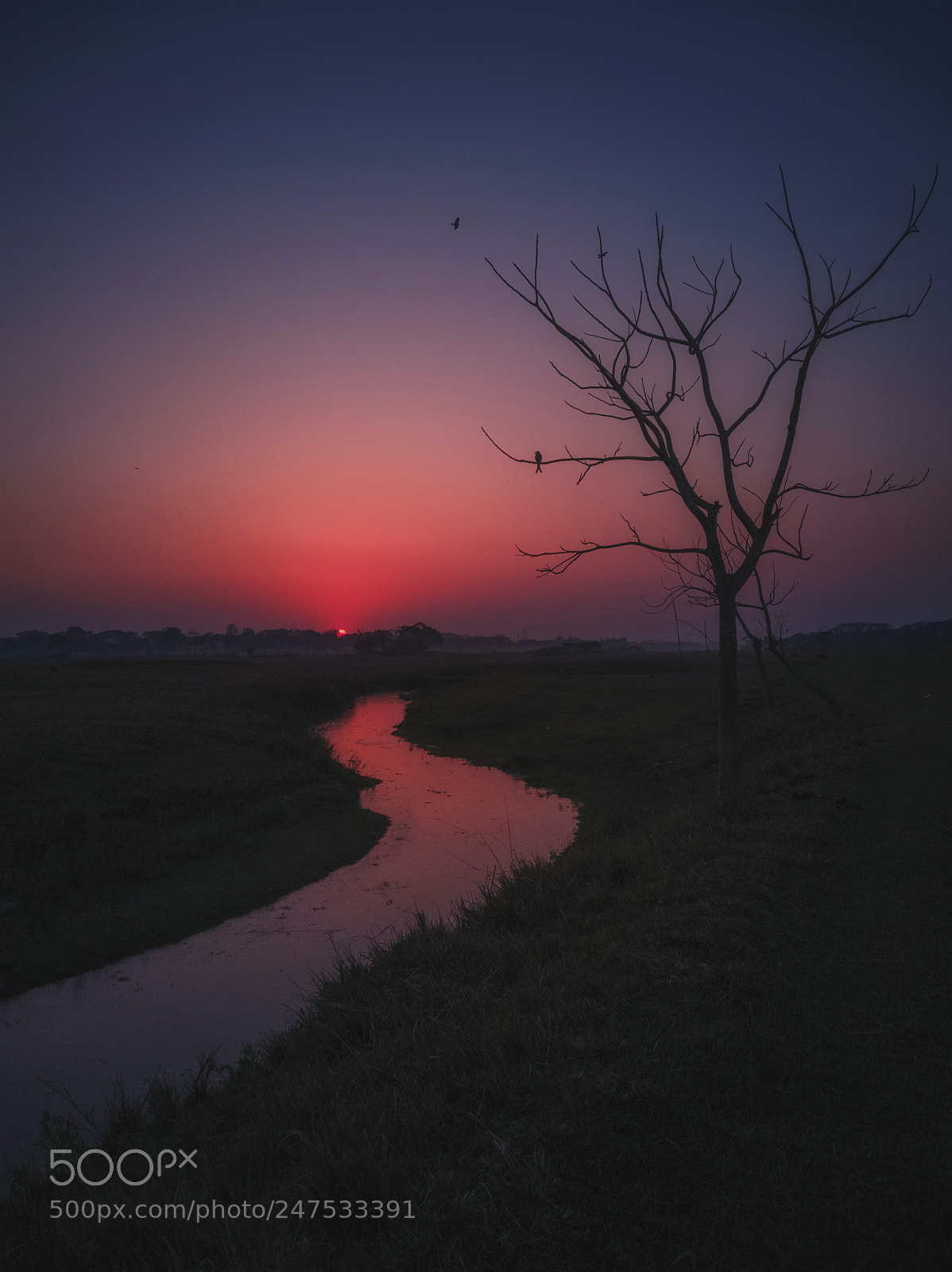 HUAWEI nova 2i sample photo. Golden houre photography