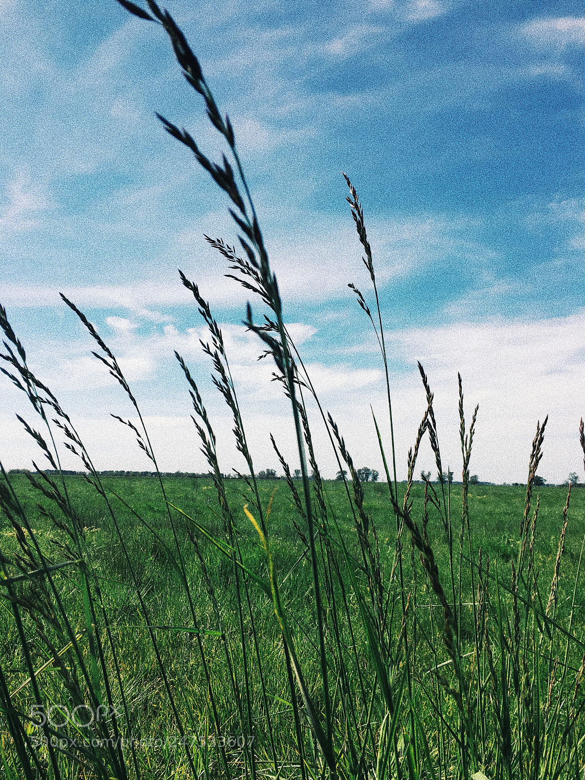 Apple iPhone 6s sample photo. Untitled photography