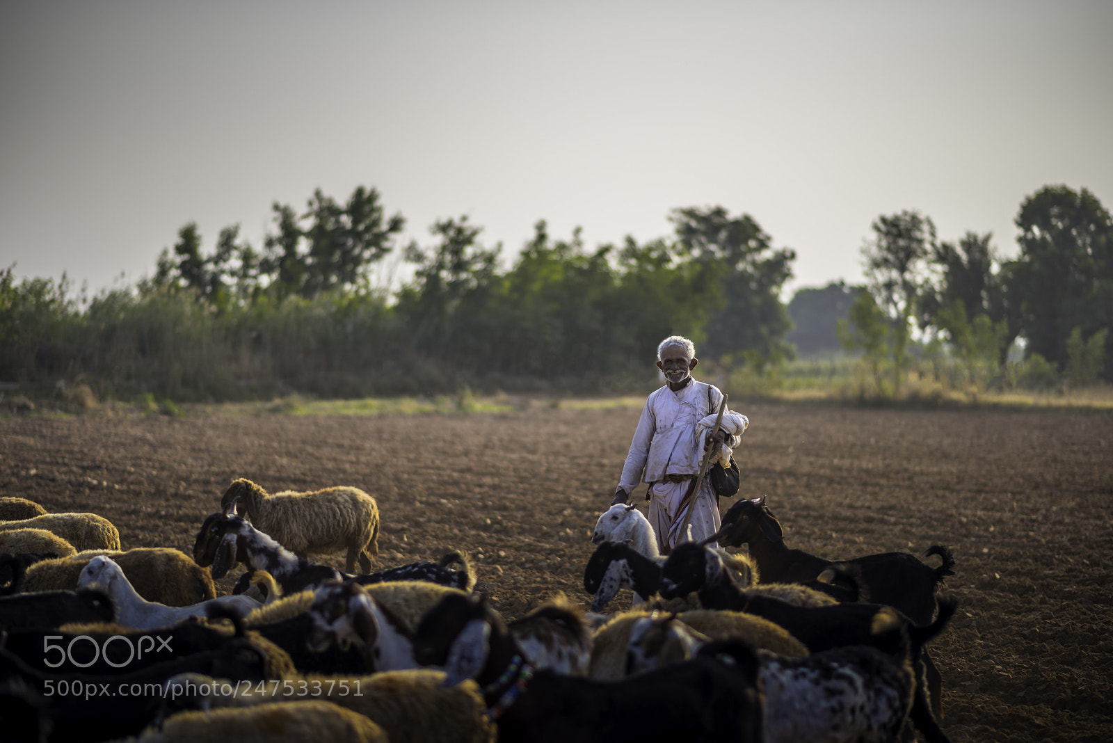 Nikon D810 sample photo. Life at dusk dsc5221.jpg photography