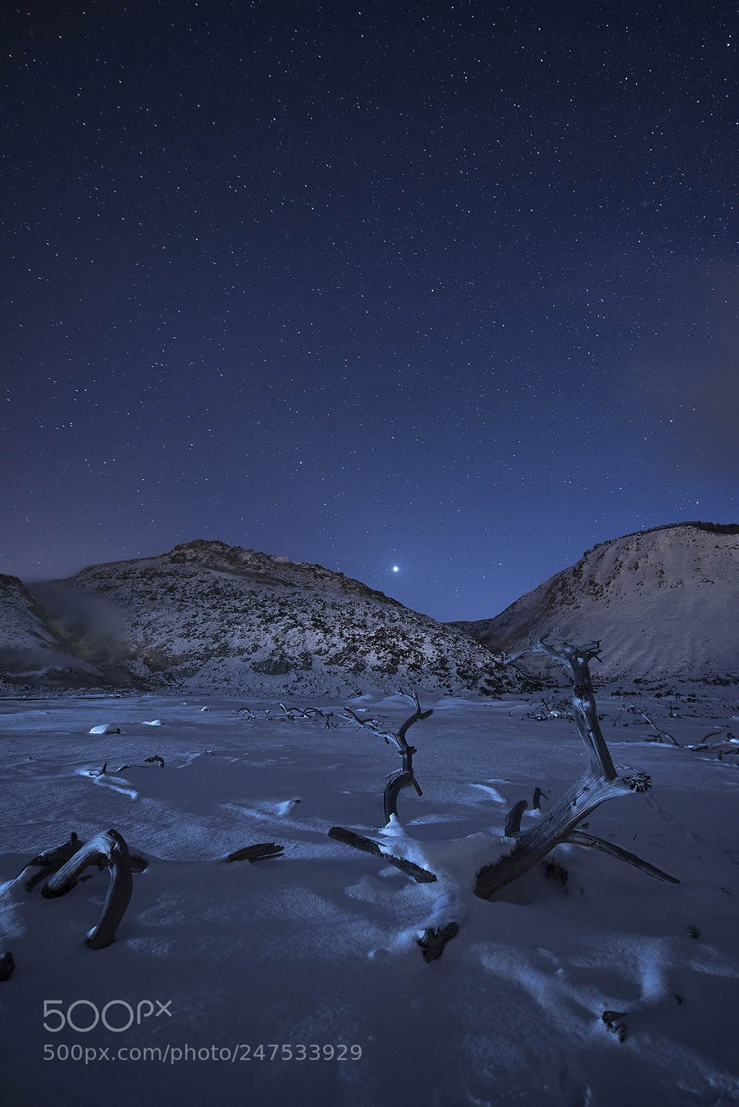 Nikon D810 sample photo. Starry night of iozan photography