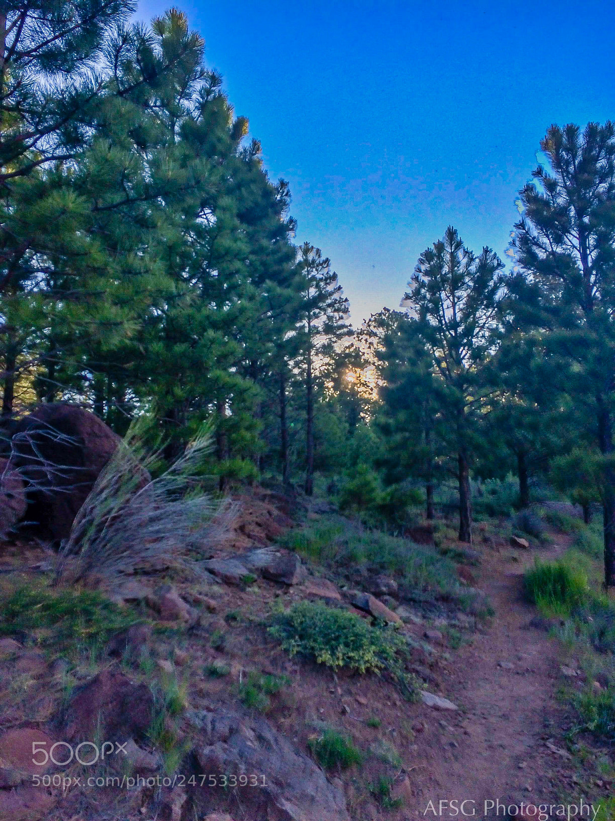 Apple iPhone 5s sample photo. Adventure ahead photography