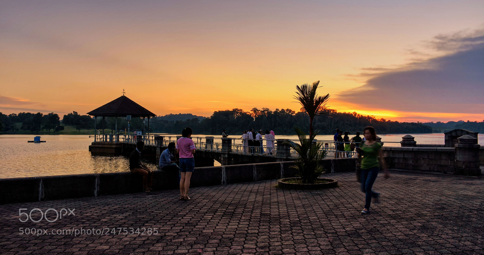 Nikon D7200 sample photo. Lower peirce reservoir, singapore photography