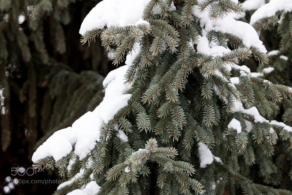 Canon EOS 760D (EOS Rebel T6s / EOS 8000D) sample photo. Snow cap photography