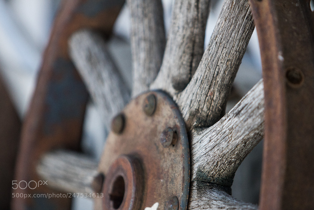 Canon EOS 760D (EOS Rebel T6s / EOS 8000D) sample photo. Wheels photography