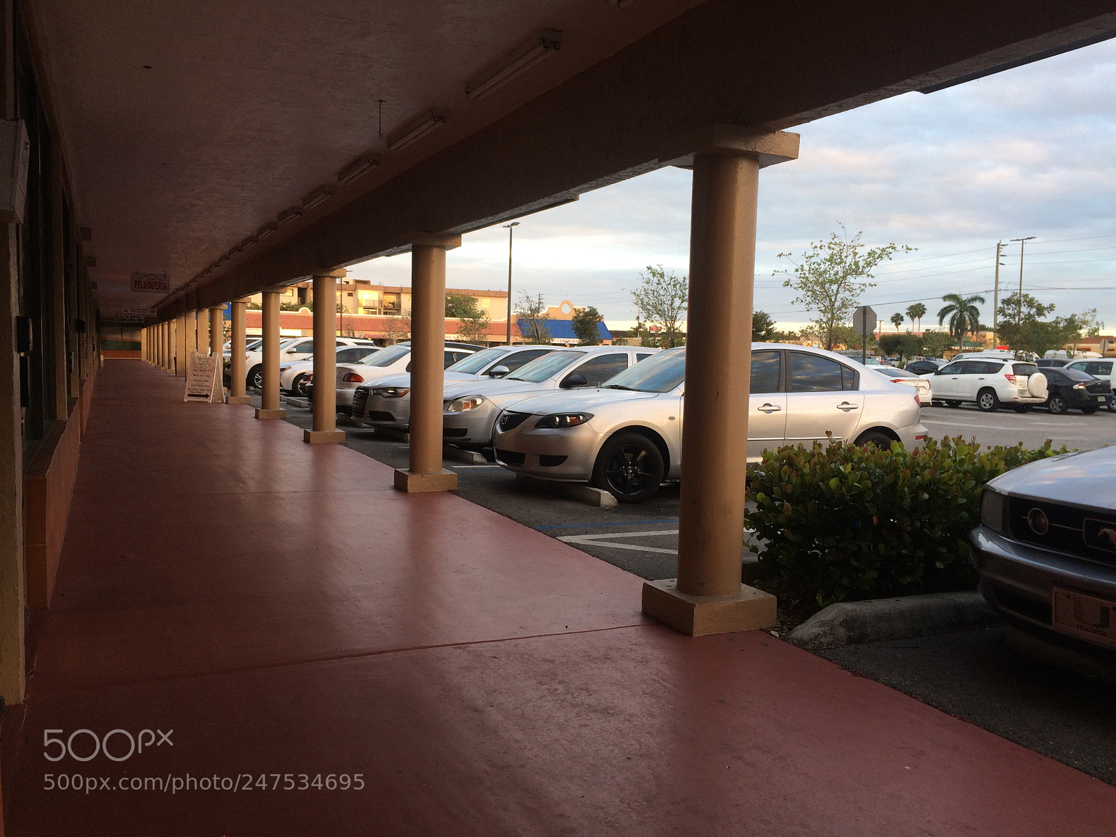 Apple iPhone 5s sample photo. Untitled photography