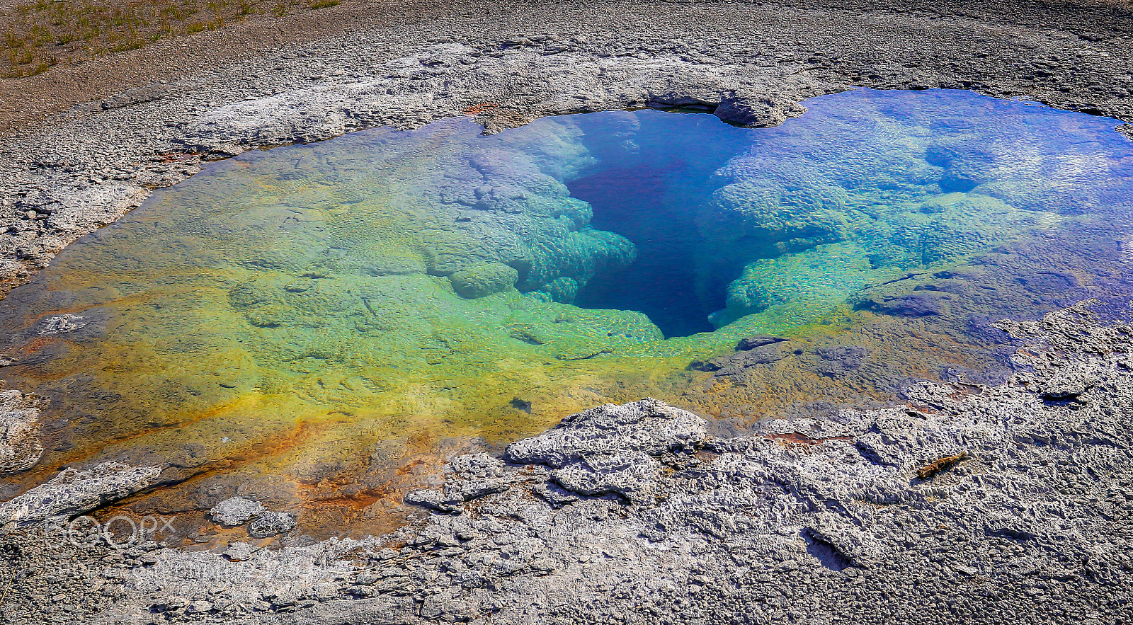Canon EOS 80D sample photo. Yellowstone photography