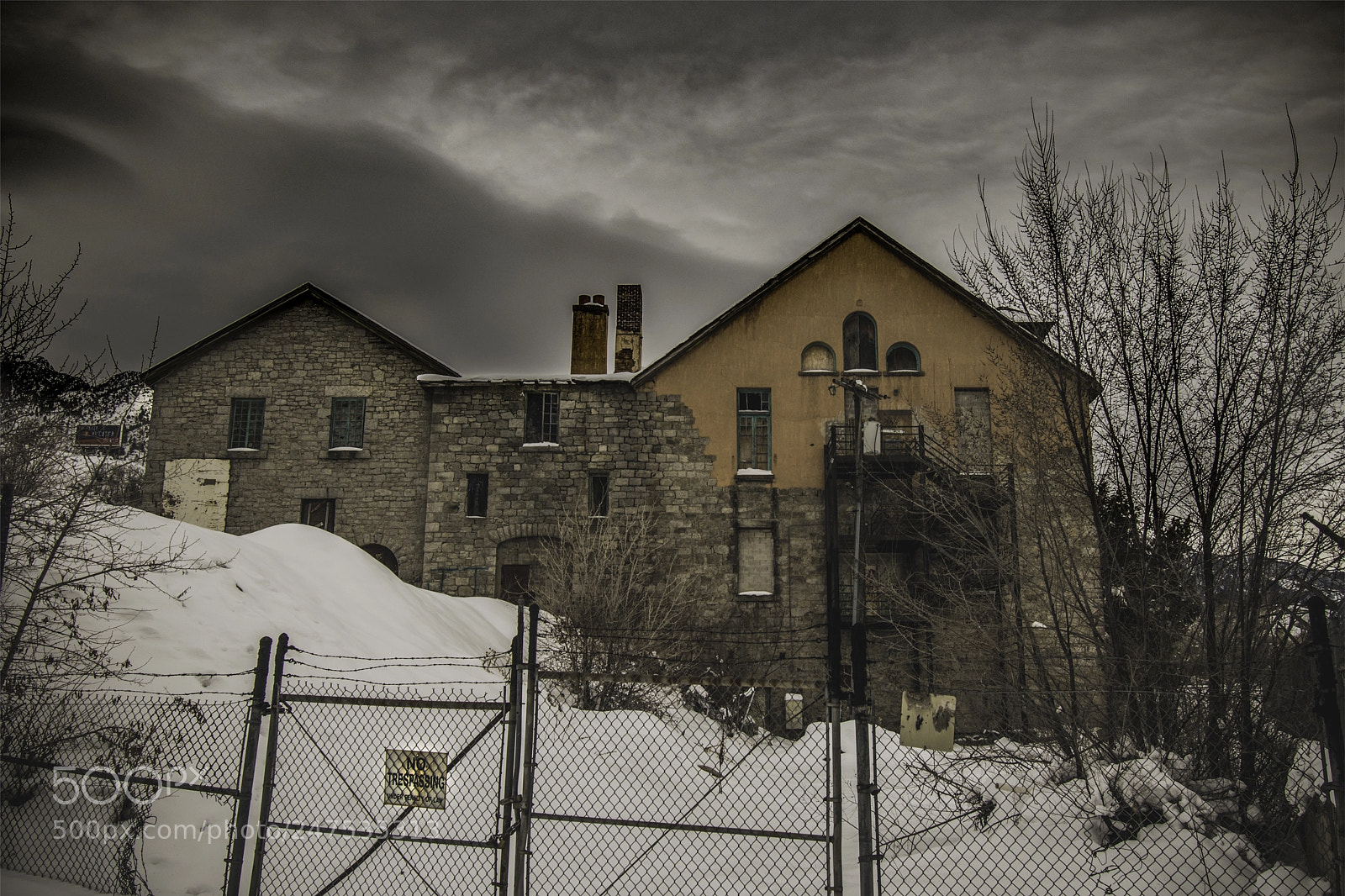 Nikon D5500 sample photo. Untitled photography