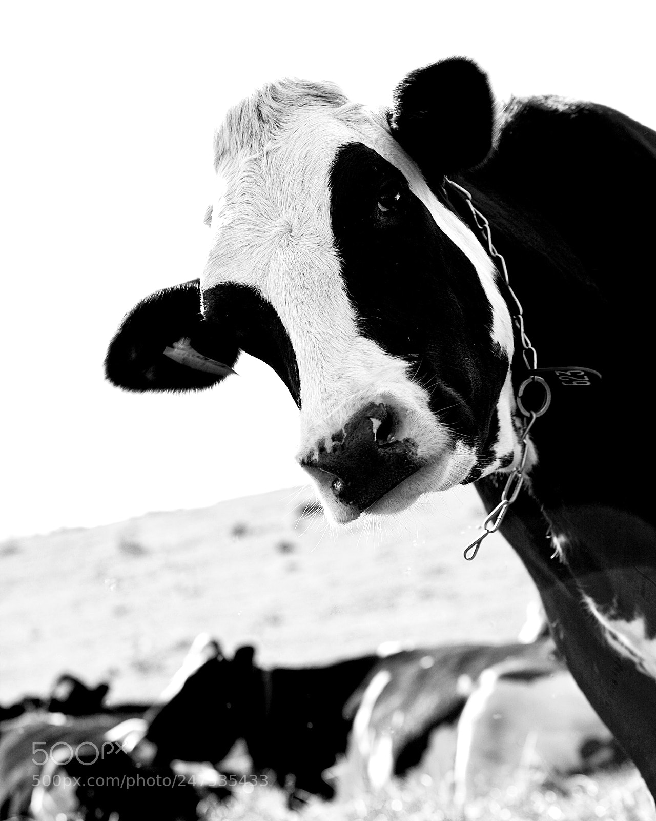 Canon EOS 5D sample photo. Winterthur, de saturday, april photography