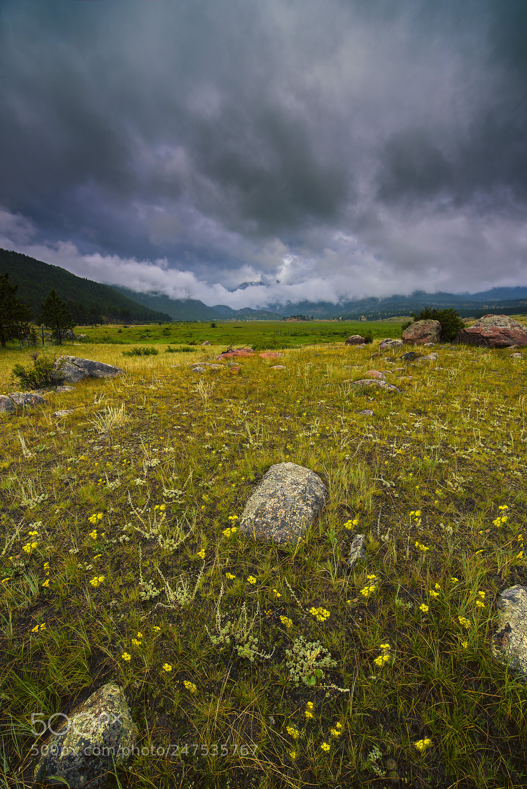 Nikon D810 sample photo. Mountain views photography