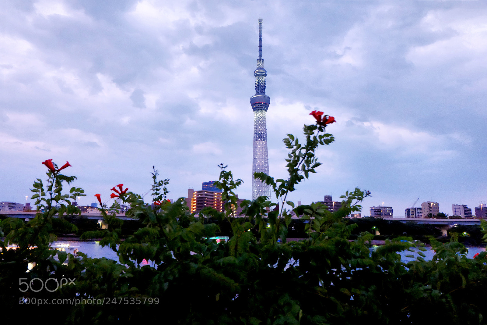 Fujifilm X-A1 sample photo. Tokyo skytree with flower photography