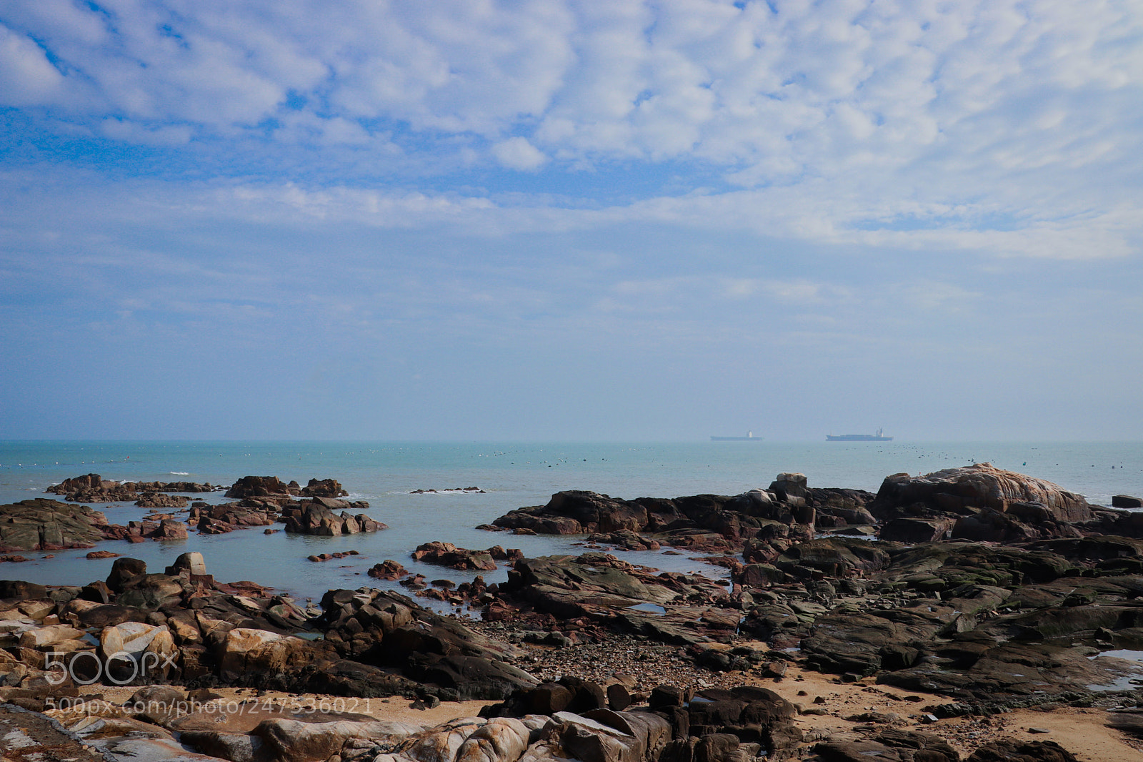 Canon EOS 80D sample photo. Don't come near. photography