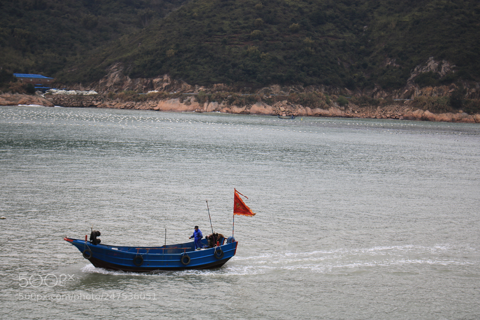 Canon EOS 750D (EOS Rebel T6i / EOS Kiss X8i) sample photo. 744883096948633279.jpg photography
