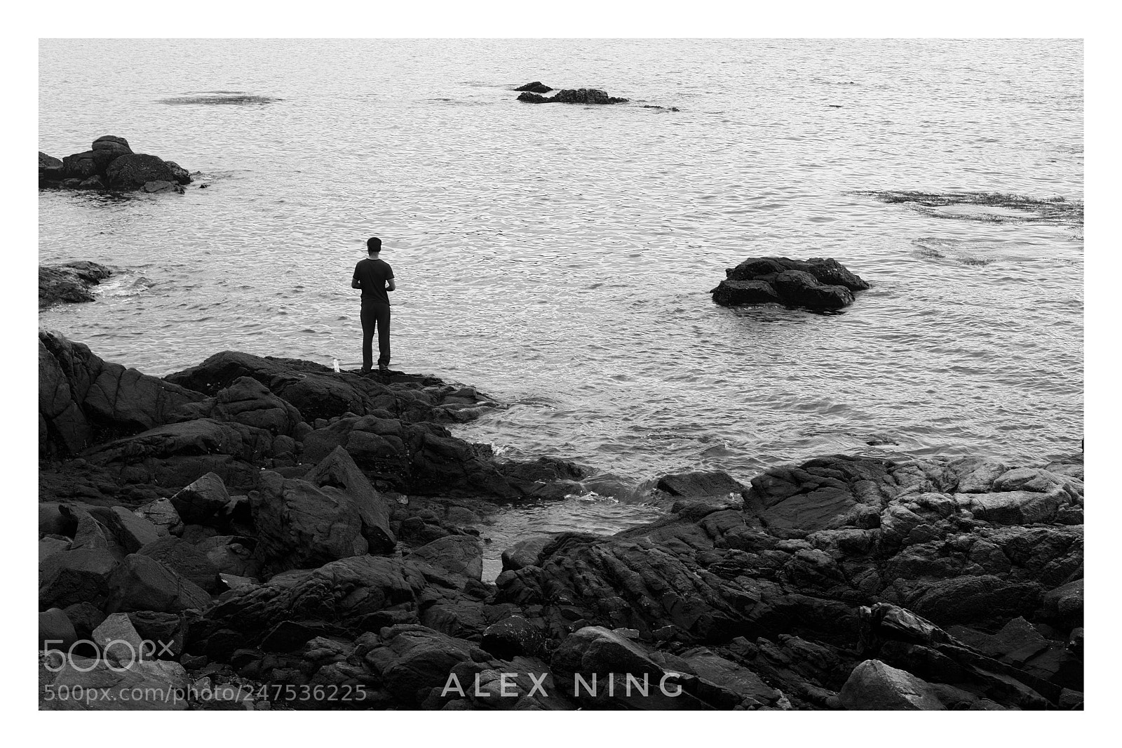 Sony a7 II sample photo. Untitled photography