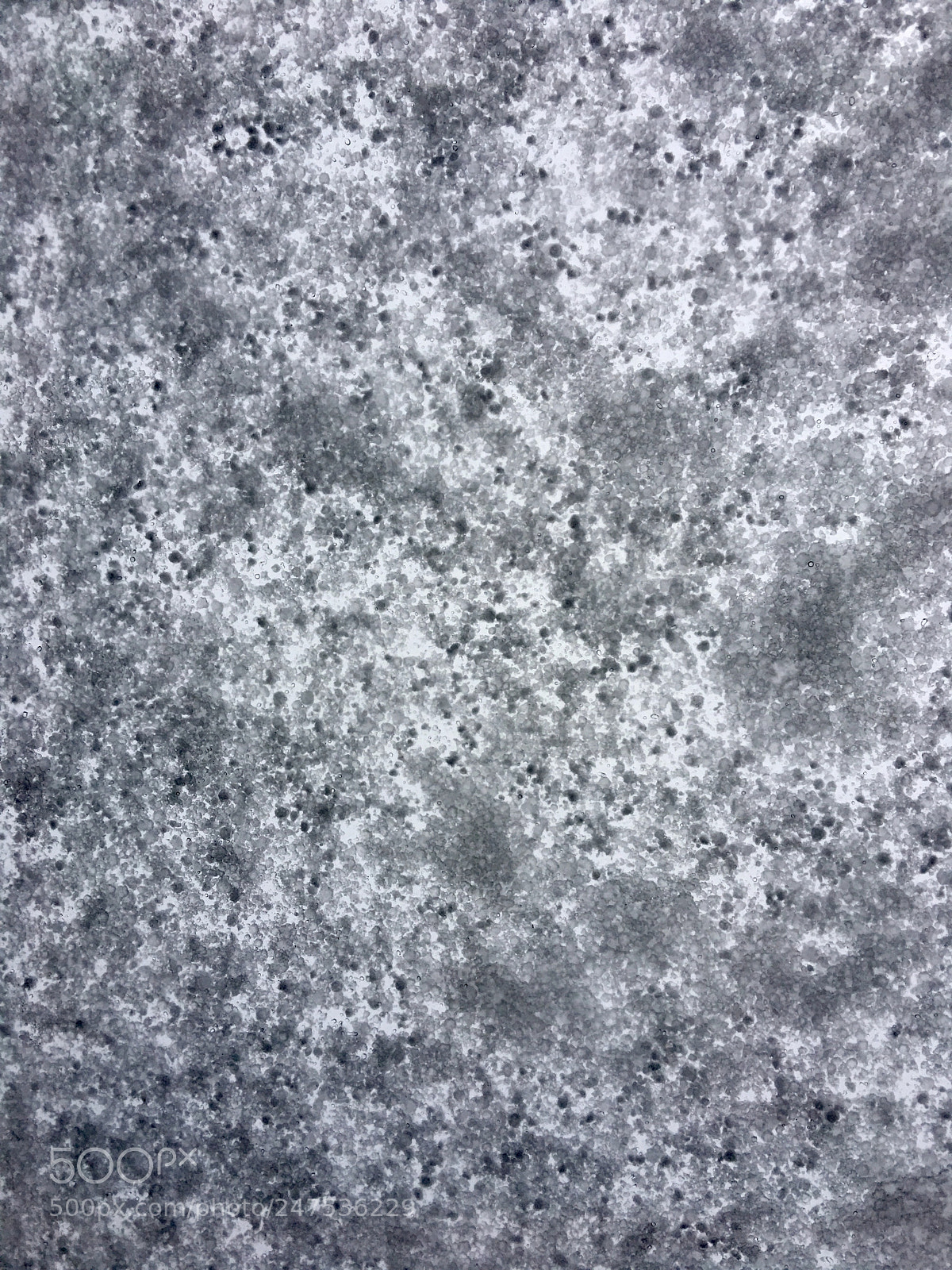 Apple iPhone 6s Plus sample photo. Snow over sunroof... photography