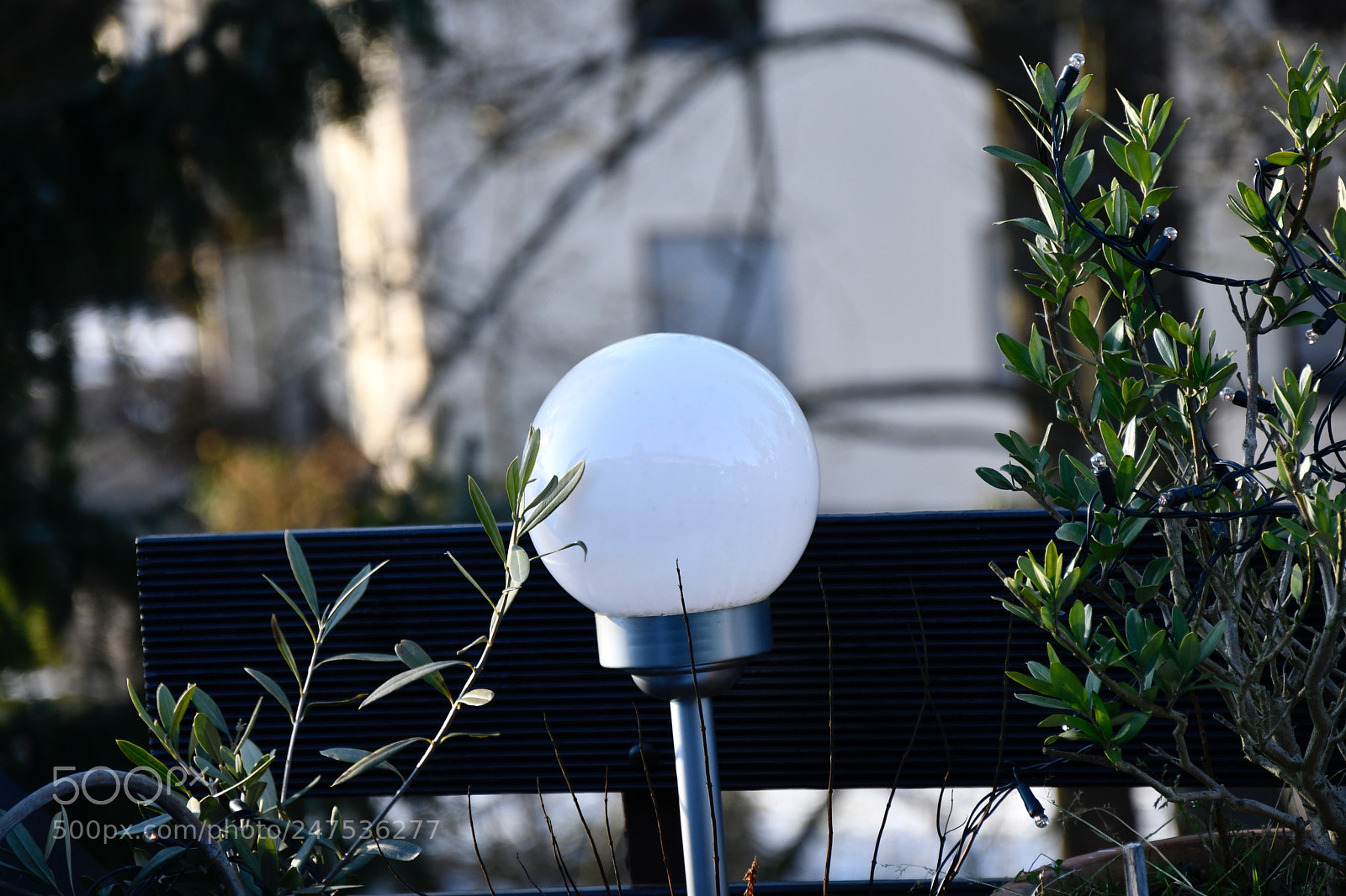 Nikon D7500 sample photo. Light ball with branches photography