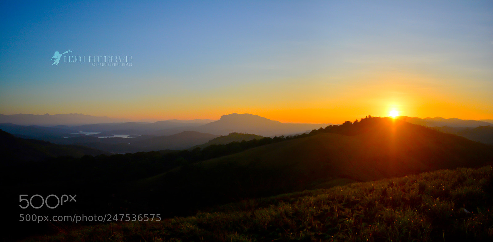 Nikon D5200 sample photo. Mornin photography