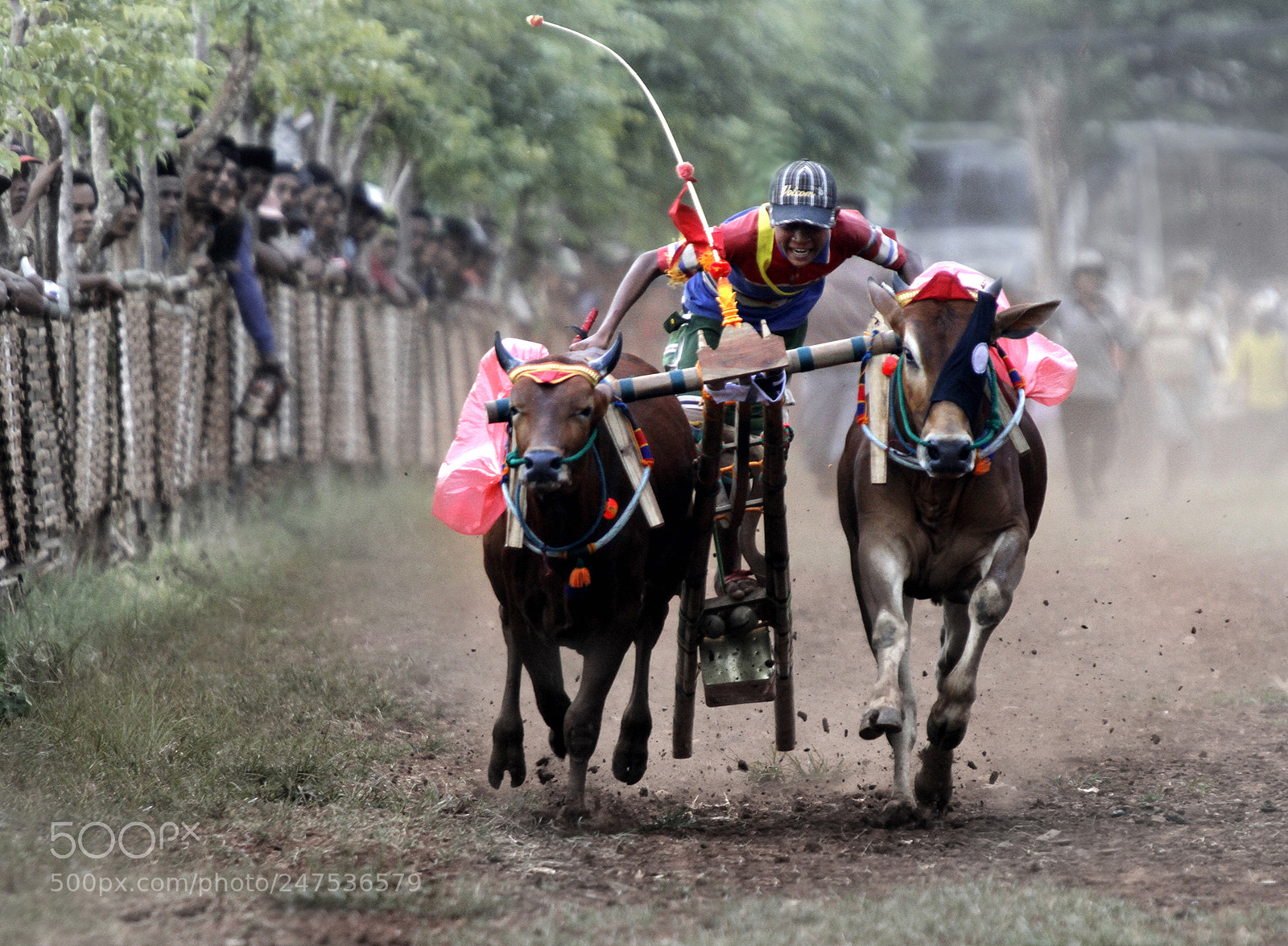 Canon EOS 7D sample photo. Indonesia 2010 photography