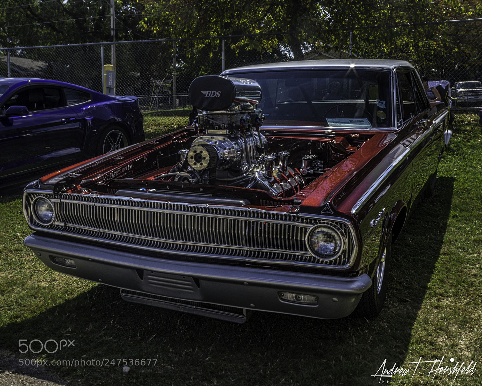 Canon EOS 600D (Rebel EOS T3i / EOS Kiss X5) sample photo. 1965 dodge coronet photography