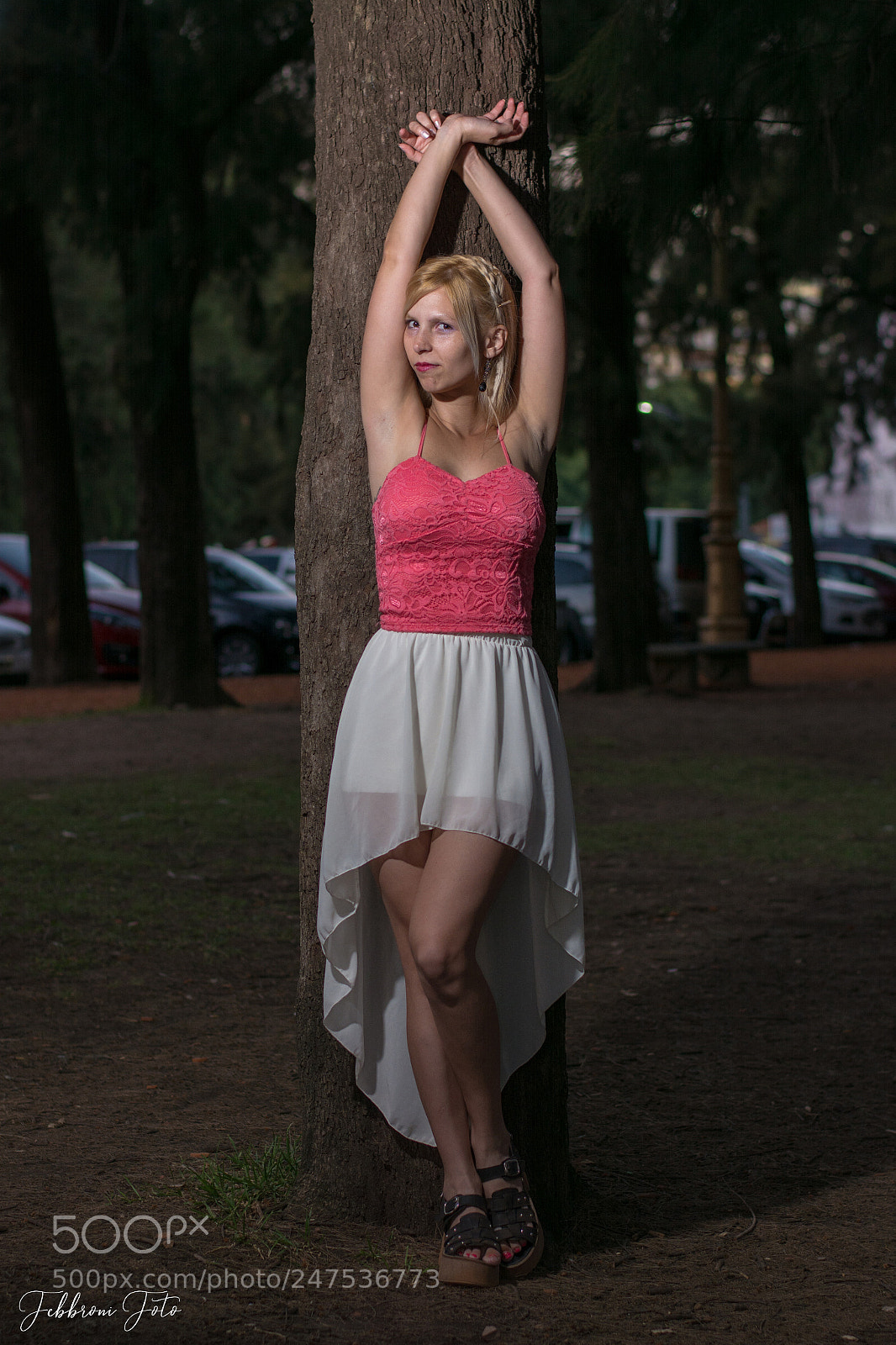 Nikon D7100 sample photo. In the forest photography