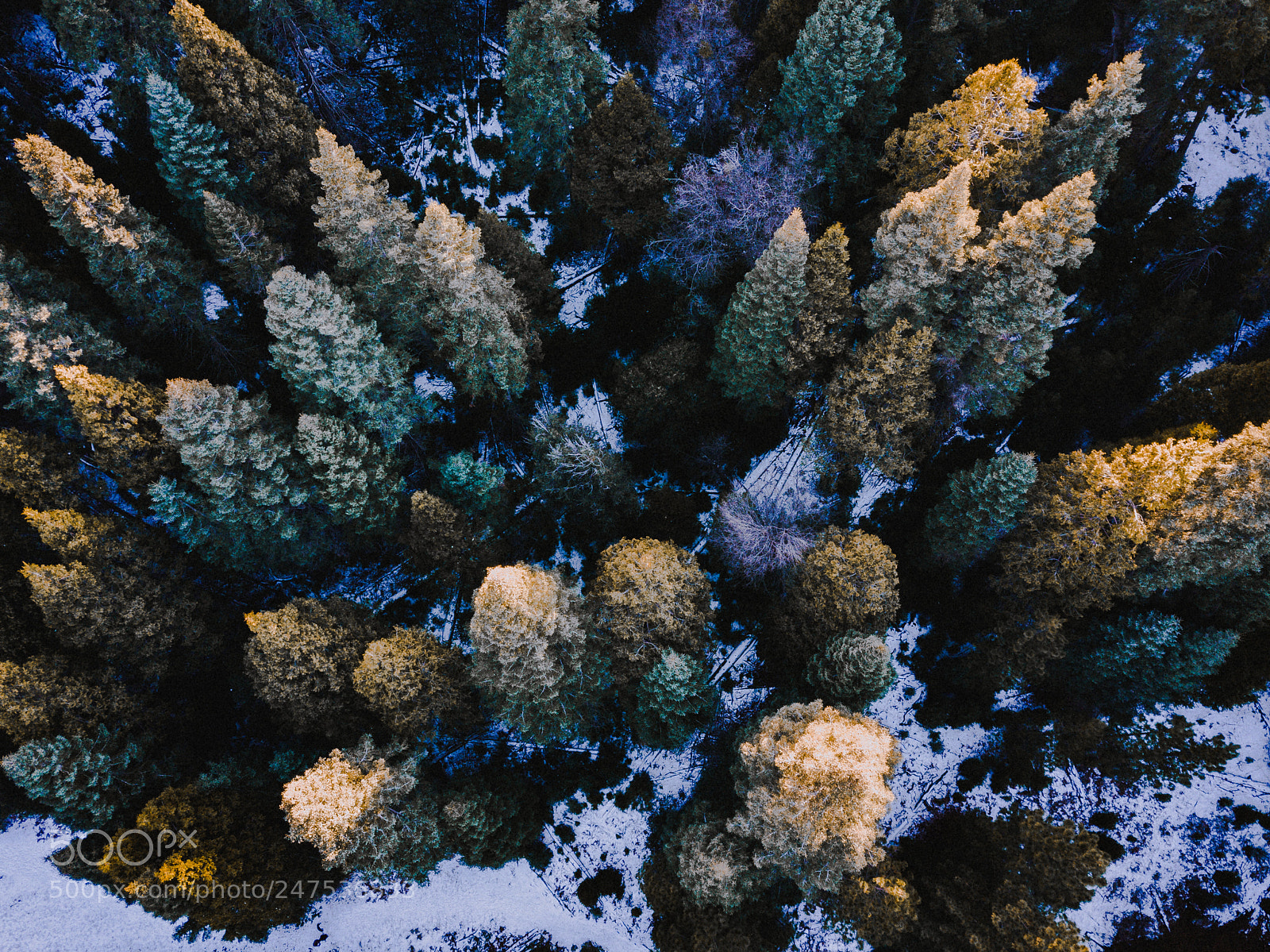 DJI FC220 sample photo. Beauty from above. photography