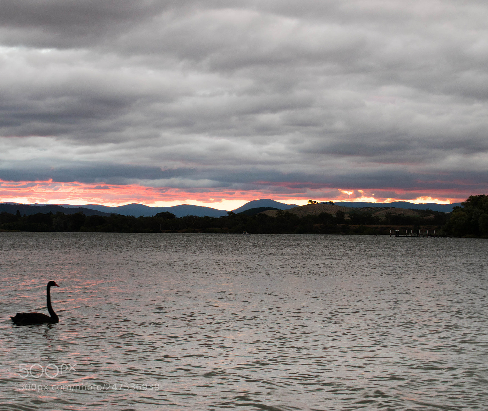 Nikon D5600 sample photo. Sunset photography