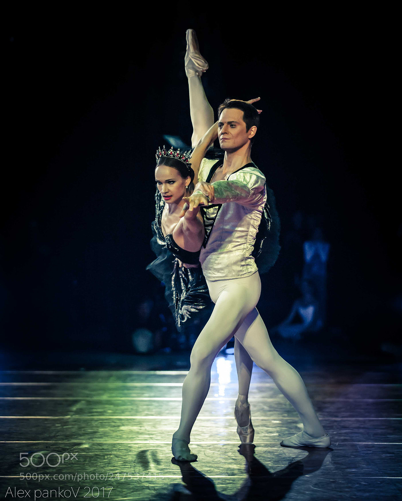 Nikon D3 sample photo. Swan lake photography