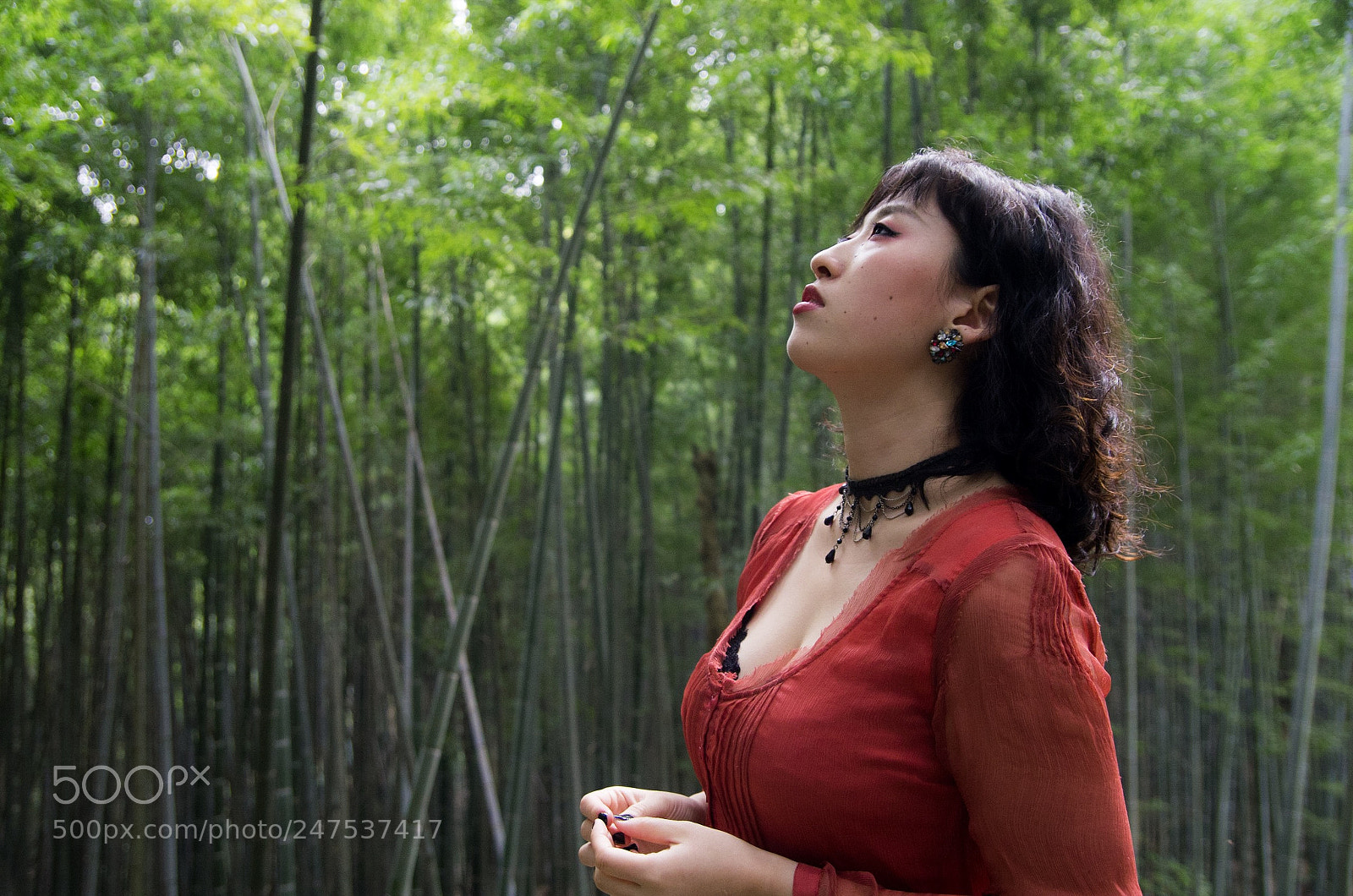 Pentax K-5 sample photo. Portrait at a bamboo photography