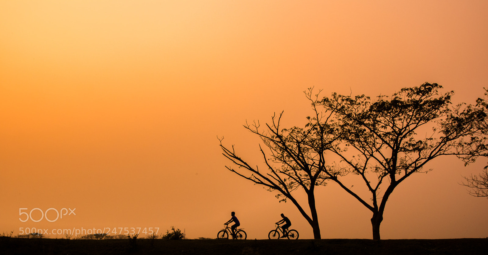 Nikon D7100 sample photo. Untitled photography