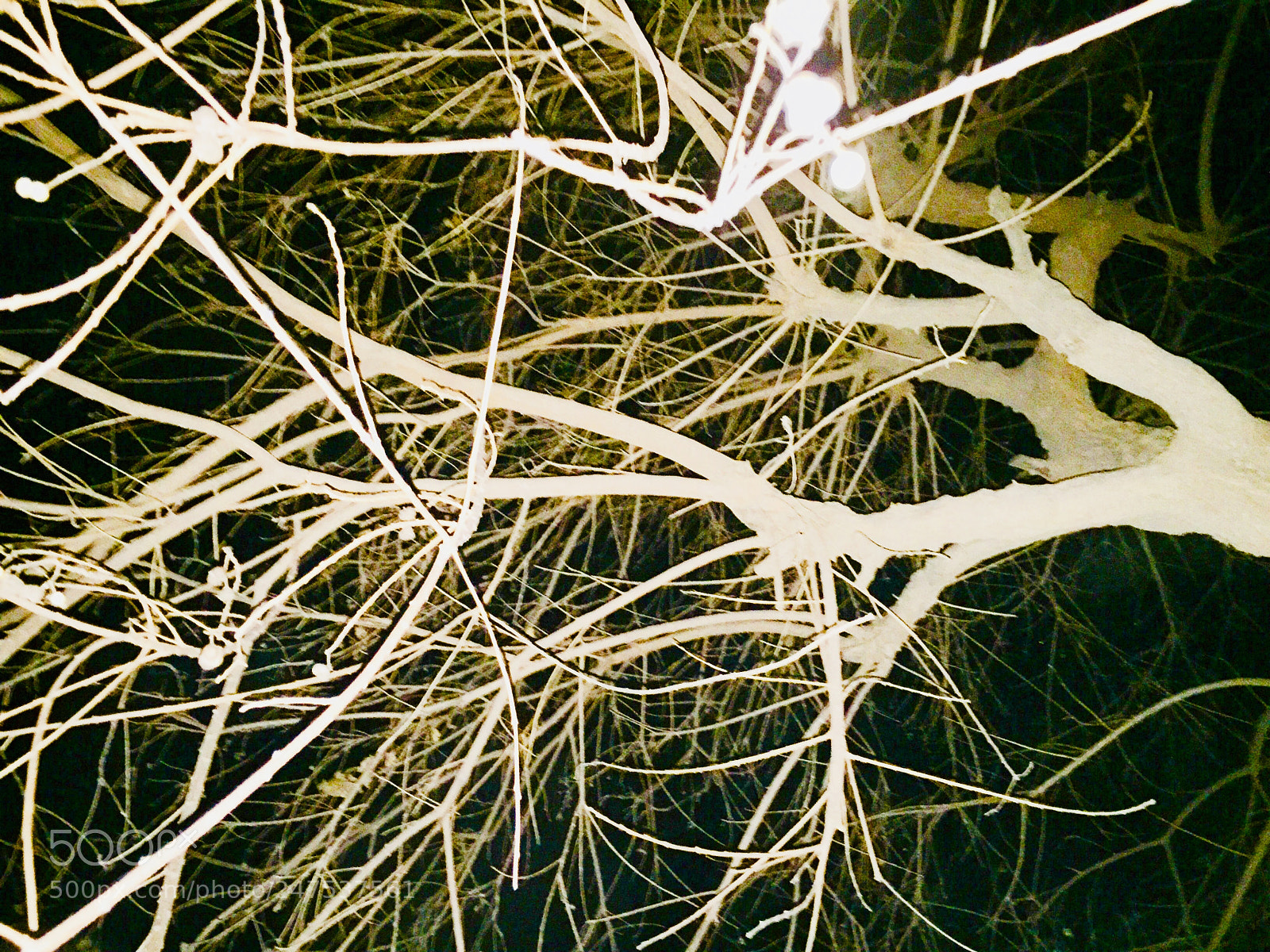 Apple iPhone 6 sample photo. Untitled photography