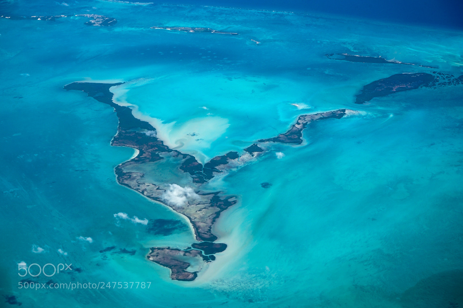 Sony a7 sample photo. Reef photography